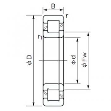 45 mm x 85 mm x 19 mm  NACHI NUP 209 محامل أسطوانية