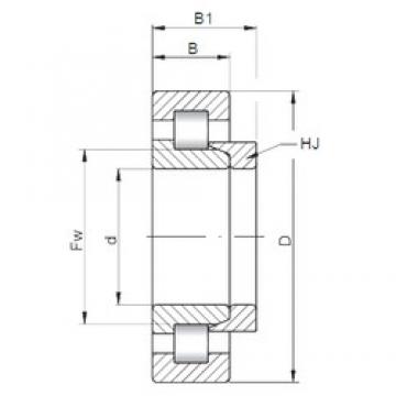 130 mm x 280 mm x 58 mm  ISO NH326 محامل أسطوانية