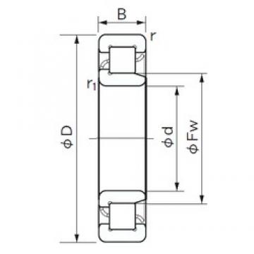 80 mm x 170 mm x 58 mm  NACHI NJ 2316 E محامل أسطوانية