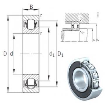 45 mm x 75 mm x 16 mm  INA BXRE009-2RSR محامل إبرة الأسطوانة