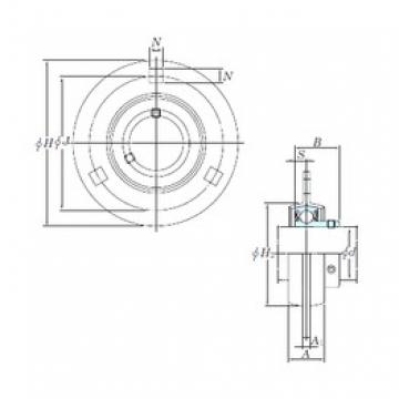 KOYO SBPF205-15 تحمل وحدات