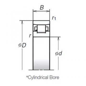 100 mm x 150 mm x 24 mm  NSK N1020MR محامل أسطوانية