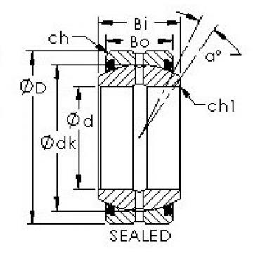 AST GEG50ES-2RS محامل عادي