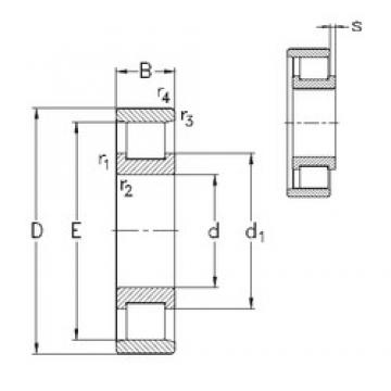 110 mm x 240 mm x 50 mm  NKE N322-E-M6 محامل أسطوانية