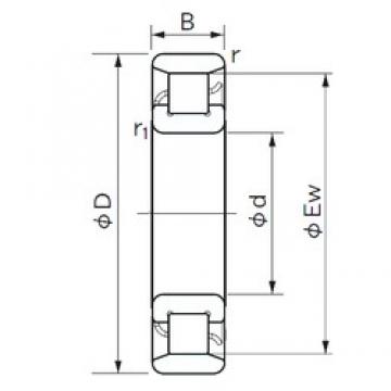 100 mm x 150 mm x 24 mm  NACHI N 1020 محامل أسطوانية