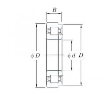 65 mm x 120 mm x 23 mm  KOYO NUP213R محامل أسطوانية