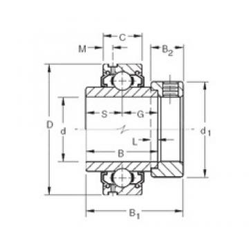 19.05 mm x 47 mm x 34,13 mm  Timken G1012KLL الكرات الأخدود العميق