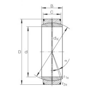 INA GE420-DO محامل عادي