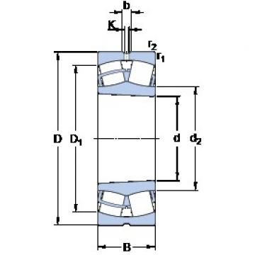 110 mm x 170 mm x 60 mm  SKF 24022 CCK30/W33 محامل كروية