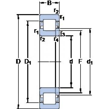 25 mm x 62 mm x 24 mm  SKF NUP 2305 ECML فحوى الكرات